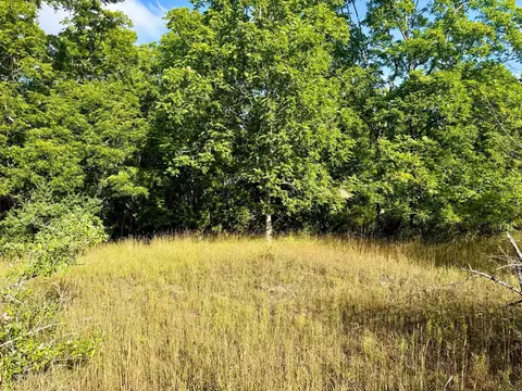 Parcel 1 E Darga, Cedar, MI 49621 photo 15