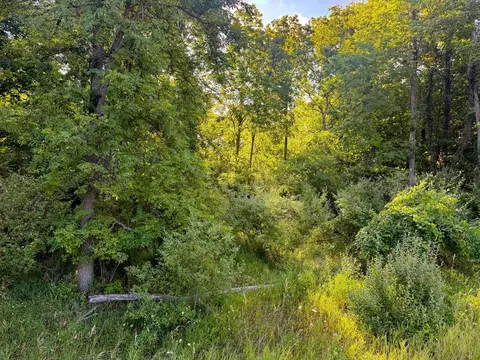 Parcel 1 E Darga, Cedar, MI 49621 photo 7