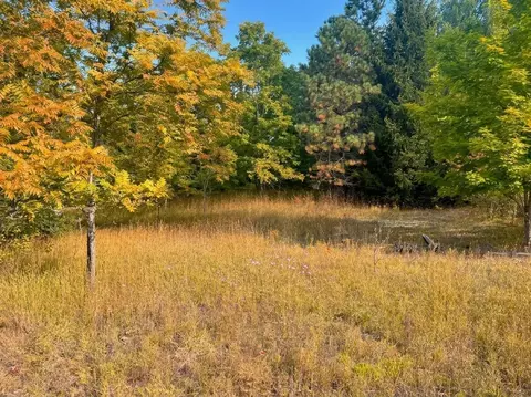 Parcel 1 E Darga, Cedar, MI 49621 photo 6