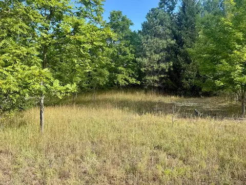 Parcel 1 E Darga, Cedar, MI 49621 photo 17