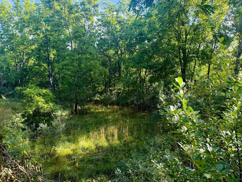 Parcel 1 E Darga, Cedar, MI 49621 photo 16