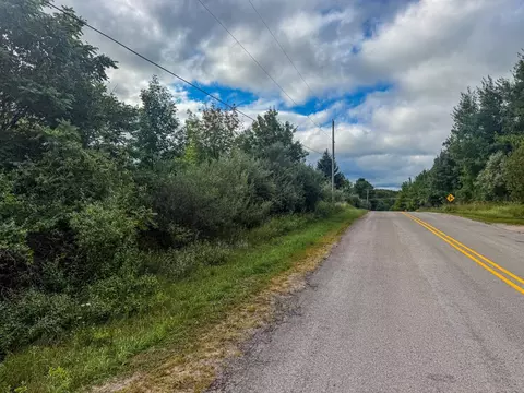 Parcel 4 E Darga, Cedar, MI 49621 photo 7