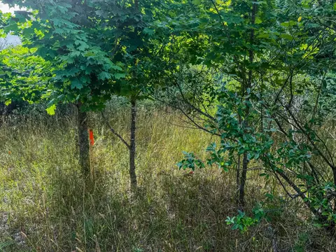 Parcel 4 E Darga, Cedar, MI 49621 photo 9