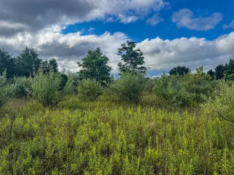 Parcel 4 E Darga, Cedar, MI 49621 photo 18