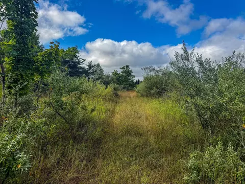 Parcel 4 E Darga, Cedar, MI 49621 photo 15