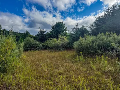 Parcel 4 E Darga, Cedar, MI 49621 photo 6