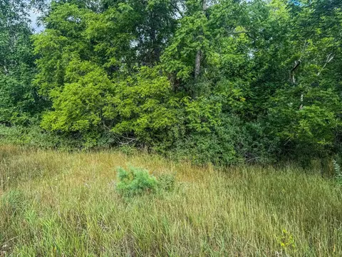 Parcel 4 E Darga, Cedar, MI 49621 photo 16