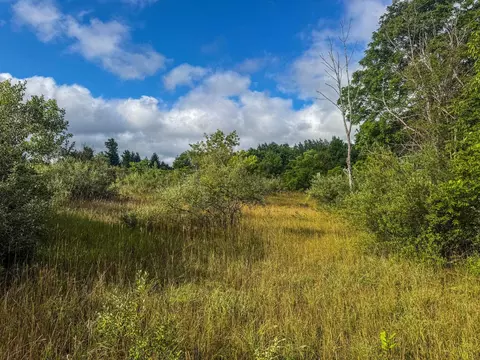 Parcel 4 E Darga, Cedar, MI 49621 photo 17