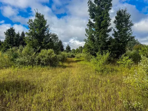 Parcel 4 E Darga, Cedar, MI 49621 photo 21