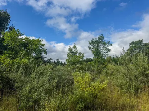 Parcel 4 E Darga, Cedar, MI 49621 photo 12