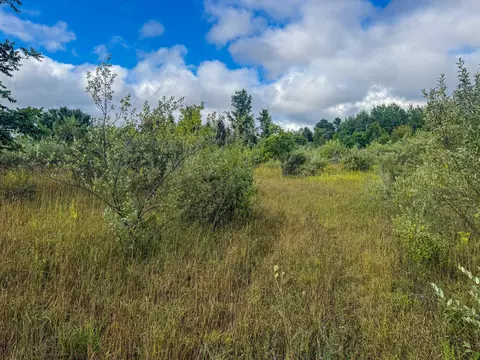 Parcel 4 E Darga, Cedar, MI 49621 photo 4