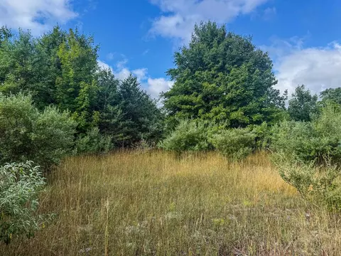 Parcel 4 E Darga, Cedar, MI 49621 photo 11