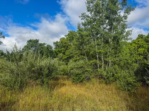 Parcel 4 E Darga, Cedar, MI 49621 photo 13