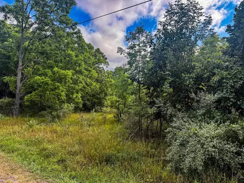 Parcel 4 E Darga, Cedar, MI 49621 photo 5