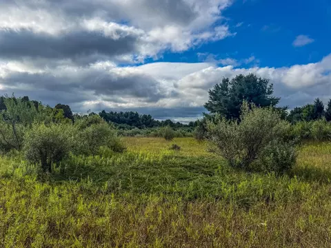 Parcel 4 E Darga, Cedar, MI 49621 photo 19