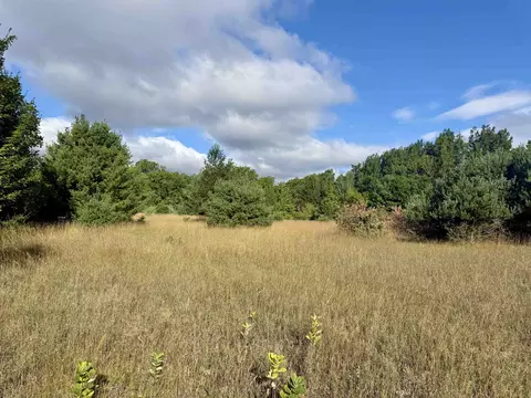 Parcel 2 E Darga, Cedar, MI 49621 photo 5