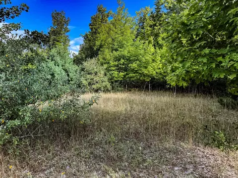 Parcel 2 E Darga, Cedar, MI 49621 photo 9
