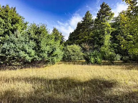 Parcel 2 E Darga, Cedar, MI 49621 photo 6