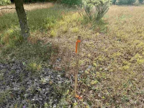 Parcel 2 E Darga, Cedar, MI 49621 photo 7