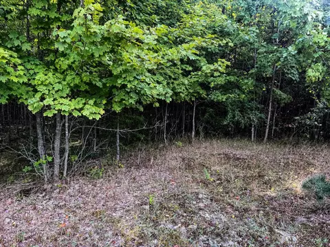 Parcel 2 E Darga, Cedar, MI 49621 photo 10