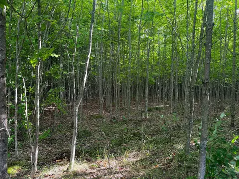 Parcel 2 E Darga, Cedar, MI 49621 photo 11