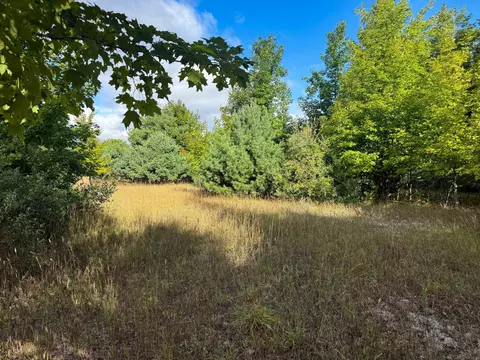 Parcel 2 E Darga, Cedar, MI 49621 photo 12