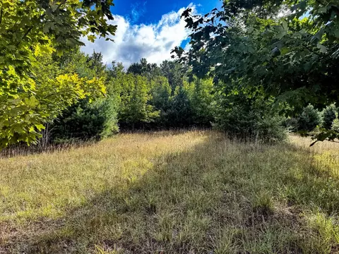 Parcel 2 E Darga, Cedar, MI 49621 photo 8