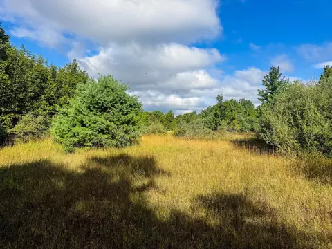 Parcel 3 E Darga, Cedar, MI 49621 photo 4