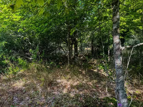 Parcel 3 E Darga, Cedar, MI 49621 photo 7