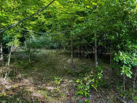 Parcel 3 E Darga, Cedar, MI 49621 photo 8