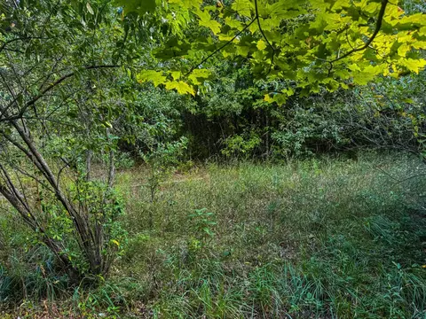 Parcel 3 E Darga, Cedar, MI 49621 photo 6