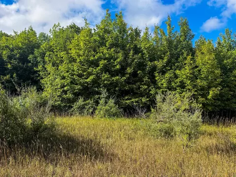 Parcel 3 E Darga, Cedar, MI 49621 photo 10