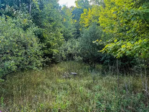Parcel 3 E Darga, Cedar, MI 49621 photo 12