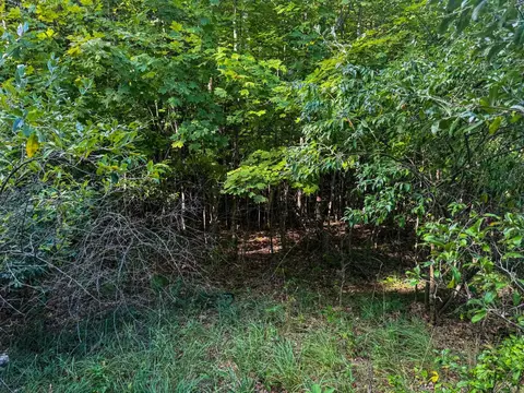 Parcel 3 E Darga, Cedar, MI 49621 photo 13