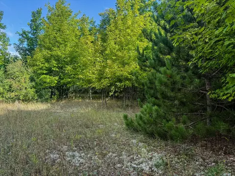 Parcel 3 E Darga, Cedar, MI 49621 photo 5