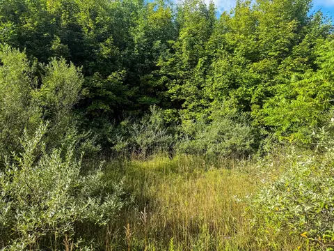 Parcel 3 E Darga, Cedar, MI 49621 photo 11