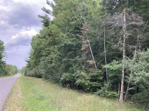V/l Wiltse, Lupton, MI 48635 photo 3
