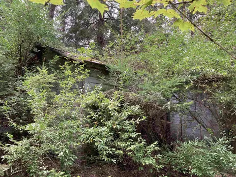 V/l Wiltse, Lupton, MI 48635 photo 30