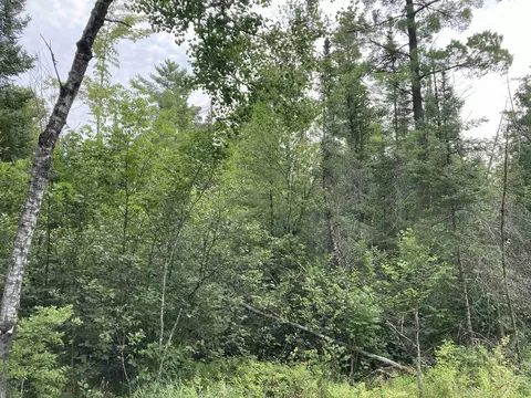 V/l Wiltse, Lupton, MI 48635 photo 8