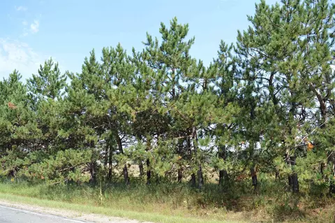 Coster, Fife Lake, MI 49633