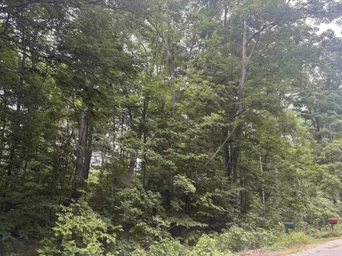 S Hemlock, Cedar, MI 40621 photo 2