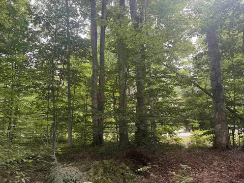 S Hemlock, Cedar, MI 40621 photo 5