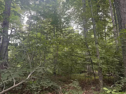 S Hemlock, Cedar, MI 40621 photo 6
