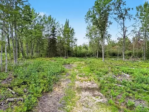 4457 E West Br, Prudenville, MI 48651