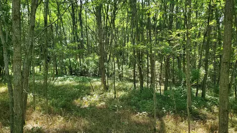 00 Marilla, Copemish, MI 49625 photo 8
