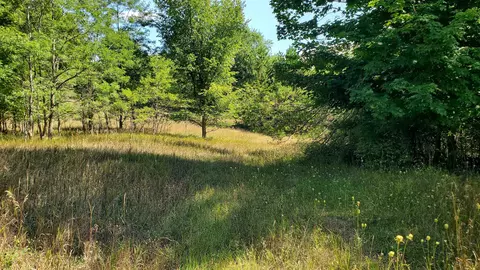 00 Marilla, Copemish, MI 49625 photo 5