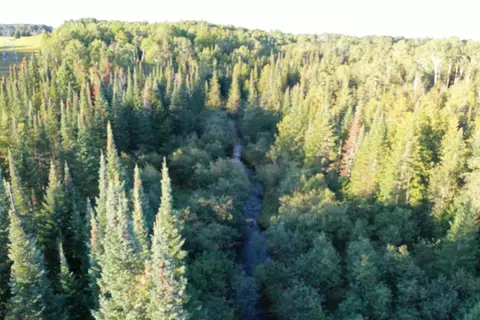 Na Townline, Rose City, MI 48654