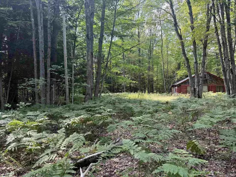 11712 Henschell, Fife Lake, MI 49633