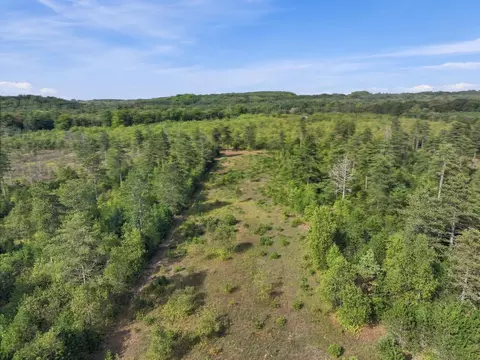 Other - 7672 E 18 12, Manton, MI 49663 photo 3 of 11