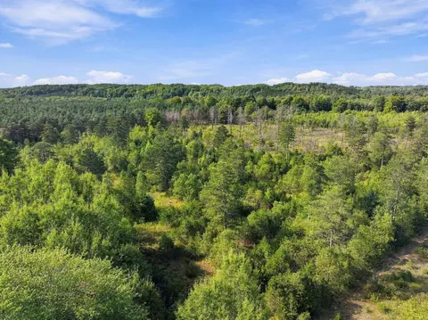 View/Area - 7672 E 18 12, Manton, MI 49663 photo 5 of 9